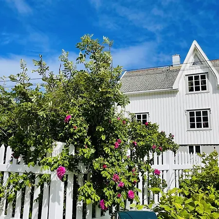 #reinehuset - Amazing View! Reine