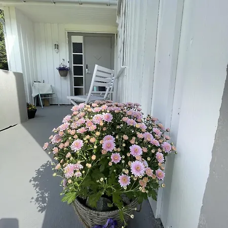 #reinehuset - Amazing View! Reine